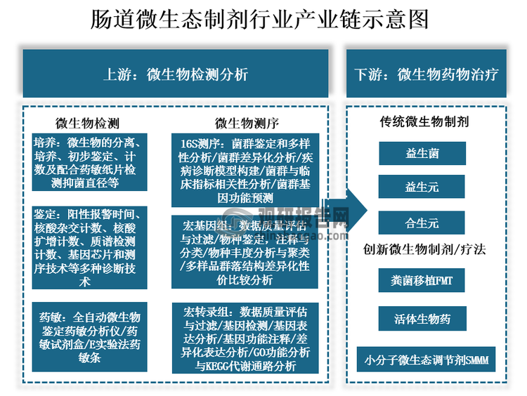 我国肠道微生态制剂产业链上游以检测为主，下游以具体的微生态药物应用为主。中国微生态企业以检测为主，目前只有少数企业从事微生态制药，且多处于接近临床或临床早期阶段。