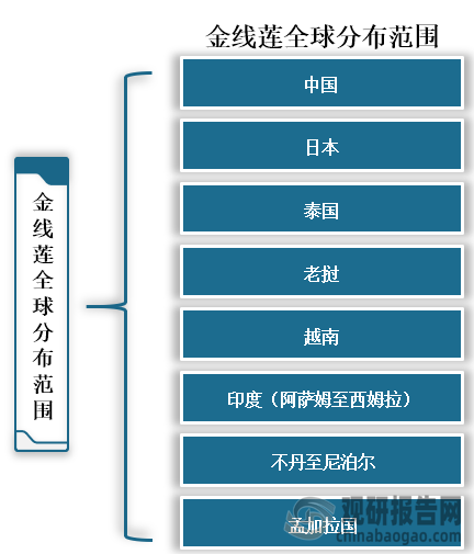 金谢莲在全球主要分布在中国、日本、泰国、老挝、越南、印度（阿萨姆至西姆拉）、不丹至尼泊尔、孟加拉国，而在中国主要分布于浙江、江西、福建、湖南、广东、海南、广西、四川、云南、西藏东南部（墨脱）。