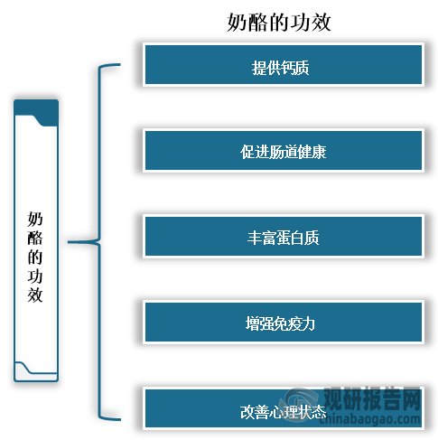 奶酪含钙量很高，食用奶酪可以提供钙质，能够帮助维持骨骼健康，除此之外还可以促进肠道健康、丰富蛋白质、增强免疫力和改善心理状态。