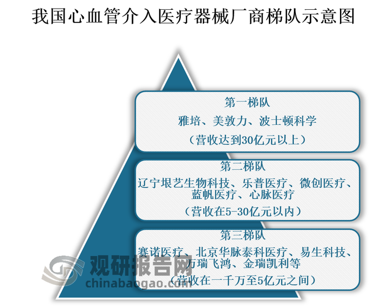 长久以来，我国心血管介入医疗器械市场份额主要被国外巨头占据，以美敦力、波士顿科学、爱德华兹、阿比奥梅德、特瑞等为代表的国际巨头依靠其在技术创新、品牌影响力、渠道建设等方面的优势，稳稳占据行业第一梯队；国产厂商则通过集采，以价格换市场，头部企业市占率和行业集中度得到不断提升。第二梯队的厂家有乐普医疗、蓝帆医疗、微创医疗、心脉医疗、辽宁垠艺生物科技，这些企业陆续推出了一系列自主研发的产品，涉及冠脉支架、心脏瓣膜、先心病封堵器和心脏节律管理等领域，其中部分产品达到了国内外领先水平。同时，还通过外部并购方式提高产品种类，再通过集采和省级联盟集采等方式扩大市场份额；处于行业第三梯队的赛诺医疗、易生科技等企业，特点是都有主打细分产品，但产品种类相对单一。