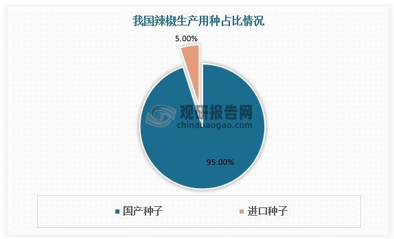 从生产用种看，近年来政策环境利好,优良辣椒种子国产化率提升，辣椒种业取得了很大进步。目前我国辣椒生产用种95%是国产种子，进口种子仅占5%。