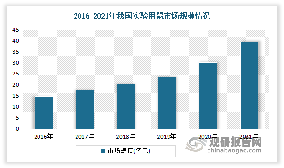 实验用鼠方面：除实验猴外，实验小鼠也是目前应用最为广泛的实验动物之一。近年来我国实验用鼠市场规模迅速增长。数据显示，2021年我国实验用鼠行业市场规模达到39.42亿元，同比增长39.44%。