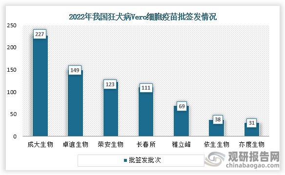 狂犬疫苗主要可分为人二倍体细胞疫苗、地鼠肾细胞疫苗、纯化Vero细胞疫苗，在2022年全年狂犬病疫苗共完成批签发912批次，其中纯化Vero细胞疫苗市占比最高。2022年中成大生物获得Vero细胞疫苗批签发227次，卓谊生物获得Vero细胞疫苗批签发149次，荣安生物获得Vero细胞疫苗批签发149次123次。