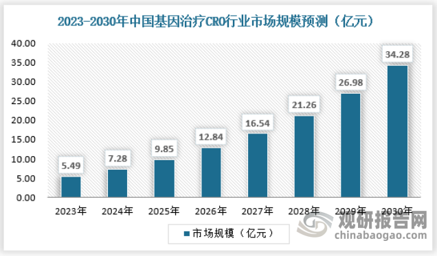 伴随中国药物研发及生产外包服务能力的不断提升和中国的药物研发和生产投入的不断增加，中国基因治疗CRO行业市场规模不断提升。预计2030年中国基因治疗CRO行业市场规模将达到34.28亿元，具体如下：