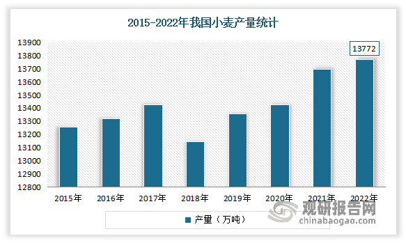 虽然近年我国小麦的播种面积有所减少，但其产量仍小幅增长。数据显示，2022年中国小麦产量达13772万吨，较2021年增加了77.55万吨，同比增长0.56%。