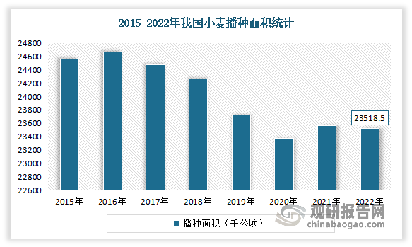 小麦是世界三大粮食作物之一，也是我国最主要的粮食作物，在农业农村紧急发展中有着不可或缺的作用，2022年中国小麦播种面积缓慢下降，2022年中国小麦播种面积达23518.5千公顷，较2021年减少了48.56千公顷，同比减少了0.21%。