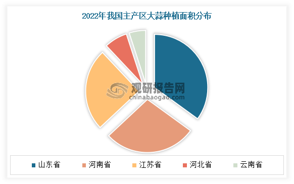 目前我国的大蒜主要产区分布在长江中下游地区。其中山东省是我国大蒜最主要产区，其2022年种植面积占比为35%；其次为河南、江苏，占比分为28%、25%。