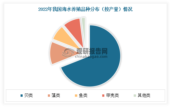 目前我国海水养殖品种丰富，由鱼类、甲壳类、贝类、藻类等品种组成，其中贝类占绝大多数。数据显示，2022年我国贝类产量为1569.58万吨，占海水养殖总产量的69%；其次为藻类，产量为271.39万吨，占海水养殖总产量的12%。