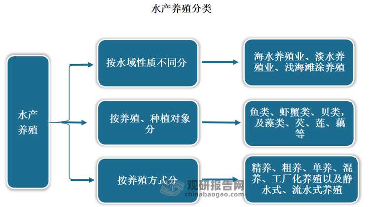 水产养殖业按水域性质不同分为海水养殖业、淡水养殖业、浅海滩涂养殖；按养殖、种植对象，分为鱼类、虾蟹类、贝类，及藻类、芡、莲、藕等；按养殖方式，可分为精养、粗养、单养、混养、工厂化养殖以及静水式、流水式养殖。