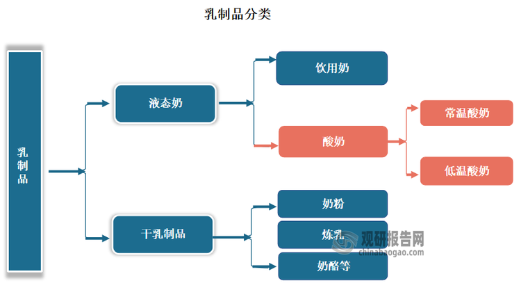 酸奶是乳制品的一种。乳制品是牛奶行业的主要产品，根据生产工艺和产成品维度的不同，可以分为液态奶和干乳制品两大类。液态奶包括饮用奶和酸奶，是人们日常生活中消费量最大的乳制品之一。干乳制品则包括奶粉、炼乳、奶酪等，具有较长的保质期和便于储存的特点。