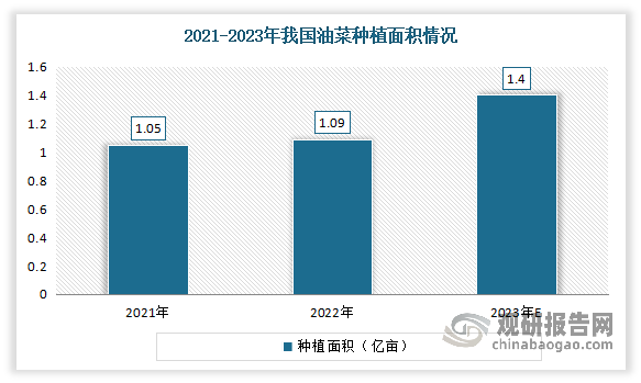 2015年由于临时收储政策取消后，我国的油菜播种面积和产量均明显减少。但近几年随着政策补贴力度加大，带动了油菜种植规模扩张。据国家统计局数据，2021年中国油菜种植面积1.05亿亩。2022年油菜种植面积达到1.09亿亩，增加400万亩。根据最新的数据，2023年我国油菜种植面积约为1.4万亩，实现连续6年恢复性增加。另外油菜是扩种潜力最大的油料作物。目前我国南方大约有1亿亩冬闲田，其中可用于油菜种植的有5000多万亩，这是扩种油菜的最大潜力所在。因此未来随着大力开发冬闲田、推广油稻轮作、扩种南方冬油菜，长江中下游地区和华南地区油菜的种植面积和产量将明显增长。