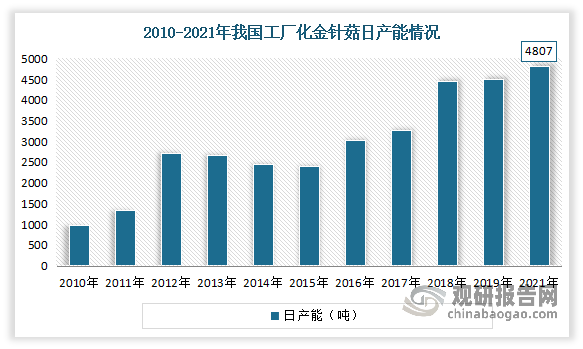 随着工厂化率不断增长，我国工厂化金针菇日产能也在不断增长。有数据显示，2010-2021年我国工厂化金针菇日产能从988.9吨提升到了 4807 吨。