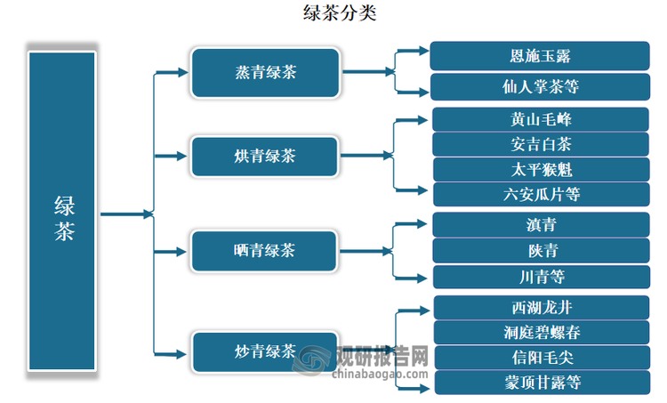 绿茶种类繁多，根据加工工艺及产品特性，可分为炒青绿茶、烘青绿茶、晒青绿茶、蒸青绿茶四种。其中炒青绿茶有西湖龙井、洞庭碧螺春、信阳毛尖、蒙顶甘露等；烘青绿茶有黄山毛峰、安吉白茶、太平猴魁、六安瓜片等；晒青绿茶有滇青、陕青、川青等；蒸青绿茶有恩施玉露、仙人掌茶等。