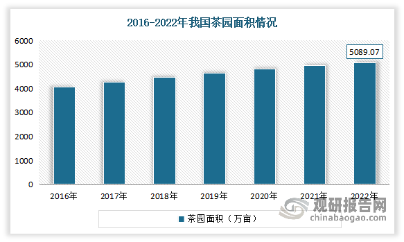 我国是世界上最大的茶叶种植国，茶叶产地遍及中国广大地区。近年来我国茶叶种植面积整体呈现增长态势。数据显示，2022年我国茶园面积已超5000万亩（约为5089.07万亩），较2021年增加了127.31万亩，同比增长了2.57%。