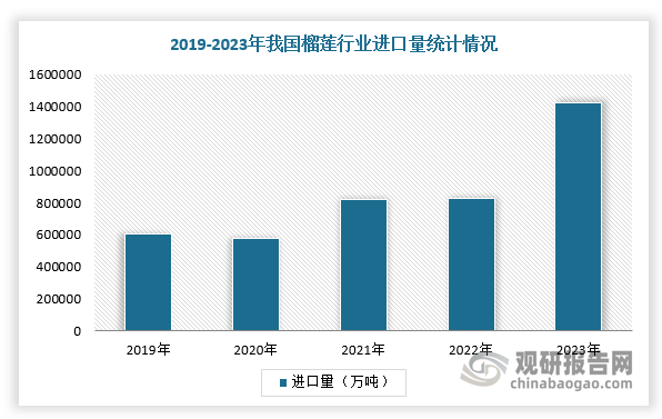 也正是在巨大需求情况下，泰国、越南等国不断加大对我国榴莲进口量且不断涨价。据中国海关数据显示，榴莲进口单价从2015年的11.8元/公斤，到2021年攀升至33.1元/公斤，6年间涨幅直达三倍；截止2023年中国榴莲进口量增长了819820.66吨（约合81.98万吨）、增幅约为135.57%，年均复合增长率约为23.89%，对中国榴莲净进口量增长的贡献率接近100%，进口金额为67万亿美元。