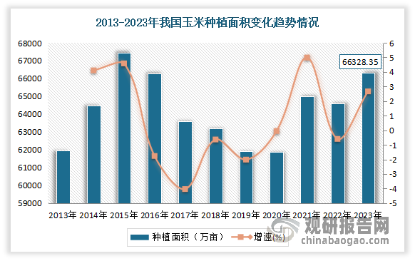 自2016年受玉米临储政策取消以及在“镰刀弯”地区推行“粮改饲”政策等综合因素影响，我国玉米种植面积呈现逐年下降趋势。到2021年受疫情以及非洲猪瘟后畜禽产能恢复对饲用玉米的需求拉动等综合因素影响，为保供应，政策指导原则变为“稳口粮、稳大豆、扩玉米”，国内玉米种植意愿提升，使得玉米种植面积有所扩张。据国家统计局统计，2023年我国玉米种植面积达66328.35万亩（约合6.63亿亩），同比增长2.67%，已连续3年保持在6.5亿亩左右；玉米产量达到28884.2万吨（约合2.89亿吨），同比增长4.2%，产量连续3年保持在2.7亿吨以上。