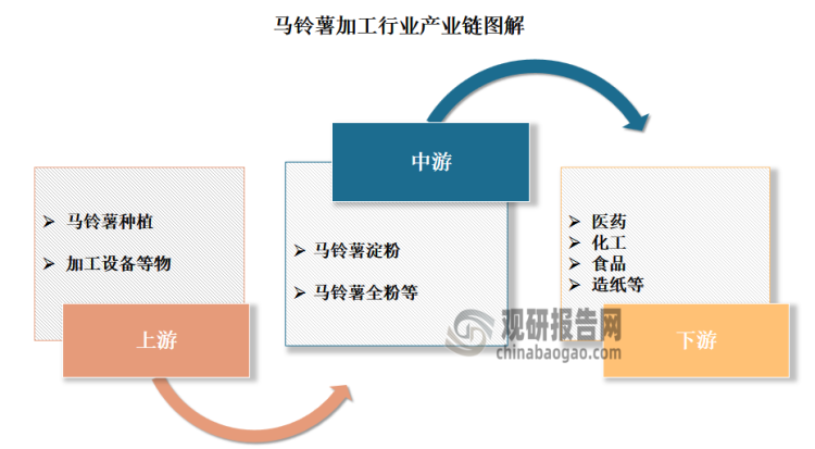 马铃薯加工行业产业链的上游为马铃薯种植、加工设备等；中游为各类马铃薯加工产品，包括马铃薯淀粉、马铃薯全粉等；下游应用领域，包括医药、化工、食品、造纸等领域。