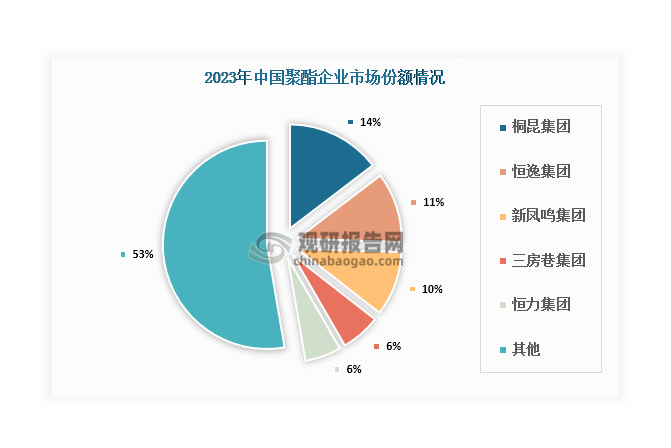 目前，桐昆集团、恒逸集团、新凤鸣集团、三房巷集团、恒力集团等民营企业凭借着规模、技术和品牌等方面的优势，在国内聚酯市场中占据主导地位。其中，桐昆集团为聚酯市场领头企业，2023年市场份额达到14.62%；其次是恒逸集团、新凤鸣集团，合计占比20.91%。