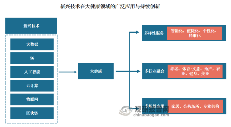 而大健康产业的快速发展，一方面将为民众带来更高质量的健康服务，另一方面也将为中国经济的可持续增长注入强大动力，共同绘就我国现代化的“大健康蓝图”。展望前景，未来智能化趋势是大健康产业的一个重要发展方向。人工智能、物联网+等新技术为医疗健康领域带来了显著的变革，显著提升了诊断治疗的智能化水平。特别是在5G时代的背景下，各种绿色养生设备实现了全面智能化，为用户带来了一键式操作的高效服务体验。这些技术不仅优化了医疗服务流程，还为患者提供了更加个性化和精准的治疗方案。