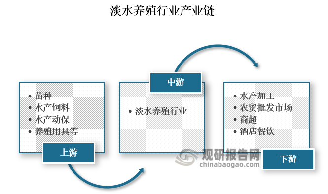 從產(chǎn)業(yè)鏈來看，淡水養(yǎng)殖行業(yè)上游為苗種、水產(chǎn)飼料、水產(chǎn)動保和養(yǎng)殖用具等；中游為淡水養(yǎng)殖，主要包括魚類魚類、蝦蟹類、貝類和藻類等；下游則是水產(chǎn)加工、農(nóng)貿(mào)批發(fā)市場、商超和酒店餐飲等領(lǐng)域。