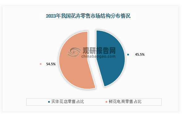 而截到目前我国花卉种植面积约150万公顷，花卉从业人员超500万人，我国已成为世界最大的花卉生产国、重要的花卉贸易国和花卉消费国。从零售市场来看，在2023年我国花卉零售市场总规模达2165.8亿元，其中实体花店零售业务市场总销售额达986.5亿元，占比为45.5%；鲜花电商市场规模达1179.3亿元，占比为54.5%。