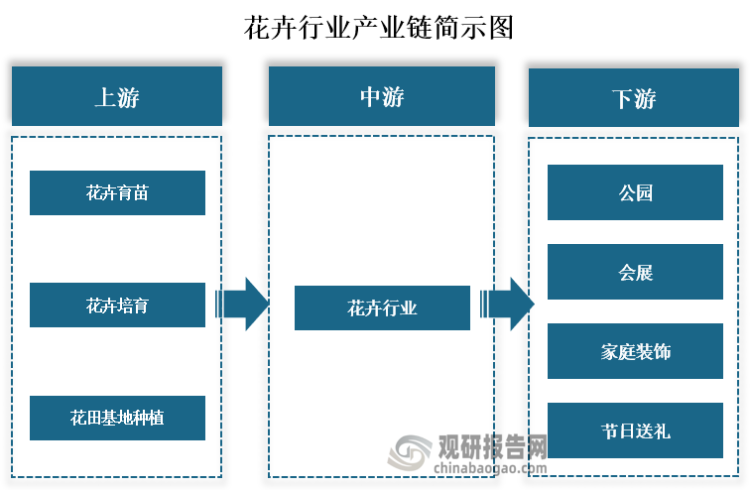 從產(chǎn)業(yè)鏈來(lái)看，花卉行業(yè)上游主要為花卉育苗、花卉培育和花田基地種植等花材供應(yīng)；下游為最終應(yīng)用領(lǐng)域，主要包括公園、會(huì)展、家庭裝飾和節(jié)日送禮等。