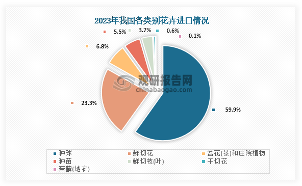 從種類情況來(lái)看，種球占比最高，在2023年進(jìn)口額同比增加2318.07萬(wàn)美元，同比增長(zhǎng)16.63%，連續(xù)3年保持增長(zhǎng)；其次是鮮切花，占比為23.3%，進(jìn)口額同比增加1632.40萬(wàn)美元，同比增長(zhǎng)達(dá)34.76%。