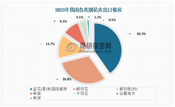 从出口情况来看，在2023年我国花卉出口额43839.23万美元，同比减少4732.27万美元，同比下降9.74%，这也是在持续6年增长后首次出现下降；其中苔藓地衣同比下降40.57%、干切花同比下降31.65%、种苗同比下降26.07%。