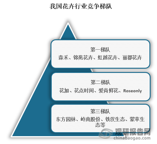 当前，我国花卉行业相关企业注册量众多，根据企查查数据显示，截至2024年8月9日，我国花卉行业相关企业注册量已经到了12838749家。而从竞争梯队来看，我国花卉行业主要可分为三个竞争梯队，其中位于第一梯队的企业为森禾、锦苑花卉、虹越花卉、丽都花卉；这些企业拥有自主知识产权的优势花卉企业；位于行业第二梯队的企业为花加、花点时间、爱尚鲜花、Roseonly，这些企业在花卉电商市场具有良好的品牌形象；位于行业第三梯队企业为东方园林、岭南股份、铁汉生态、蒙草生态等。