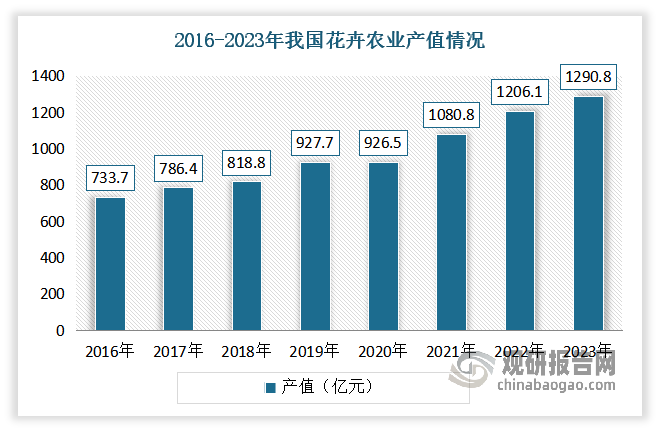 得益于我國(guó)植物種質(zhì)資源豐富，花卉栽培歷史悠久，以及相關(guān)政策支持，目前我國(guó)已成為世界最大的花卉生產(chǎn)國(guó)、重要的花卉貿(mào)易國(guó)和花卉消費(fèi)國(guó)。從農(nóng)業(yè)產(chǎn)值情況來(lái)看，201-2022年我國(guó)花卉農(nóng)業(yè)產(chǎn)值從667.2億元增長(zhǎng)到了1206.1億元，增長(zhǎng)了538.9億元、增幅約為80.77%，年均復(fù)合增長(zhǎng)率約為6.8%。到2023年我國(guó)花卉農(nóng)業(yè)產(chǎn)值達(dá)到1290.8億元。