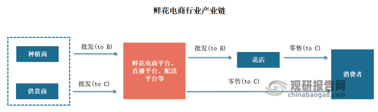 產(chǎn)業(yè)鏈方面，鮮花電商行業(yè)市場行業(yè)產(chǎn)業(yè)鏈上游為鮮花種植商與供應(yīng)商，提供優(yōu)質(zhì)鮮花原材料，保證鮮花供給充足;產(chǎn)業(yè)鏈中游為鮮花電商平臺(tái)，依托互聯(lián)網(wǎng)平臺(tái)鏈接鮮花供應(yīng)商和消費(fèi)者;產(chǎn)業(yè)鏈下游為鮮花電商用戶，線上購買鮮花，消費(fèi)需求多樣。