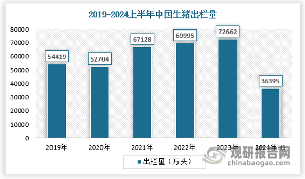 2024年上半年，我國生豬出欄36395萬頭，較去年同期的37548萬頭下降3.1%。整體來看，我國生豬產(chǎn)能已經(jīng)去化16個月之久，生豬產(chǎn)能已經(jīng)處于 2021年以來的低位。