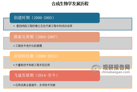 合成生物學發(fā)展迅速，其發(fā)展經歷大致可以分為4個階段：第一階段是合成生物學的創(chuàng)建時期（2000—2003年），這個時期產生了許多具備領域特征的研究手段和理論，特別是基因線路工程的建立及在代謝工程中的成功運用；第二階段是摸索完善時期（2004—2007年），這個時期的重要特征是雖然領域有擴大趨勢，但工程技術進步比較緩慢；第三階段是快速創(chuàng)新和應用轉化時期（2008—2013年）這個時期涌現出了大量新技術和新工程手段，特別是人工合成基因組能力的提升，以及基因組編輯技術的突破等，從而使合成生物學的研究與應用領域大為拓展；第四階段是飛速發(fā)展新時期（2014年至今），該時期研究成果全面提升，特別是酵母染色體的人工合成等領域取得突破性成果，為人類實現“能力提升”的宏偉目標奠定了重要基礎。