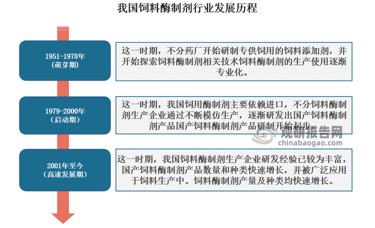 據(jù)了解，我國(guó)飼料酶制劑開始發(fā)展于20世紀(jì)80年代，但規(guī)?；瘧?yīng)用始于20世紀(jì)90年代。進(jìn)入21世紀(jì)，隨著國(guó)內(nèi)酶制劑發(fā)酵水平不斷提高，生產(chǎn)成本不斷降低，國(guó)內(nèi)酶制劑生產(chǎn)企業(yè)迅速發(fā)展，逐漸形成了自主品牌?？傮w來(lái)看，我國(guó)飼料酶制劑經(jīng)歷了萌芽期、啟動(dòng)期與高速發(fā)展期三個(gè)階段。目前我國(guó)我國(guó)飼料酶制劑處于高速發(fā)展期，國(guó)產(chǎn)飼料酶制劑產(chǎn)品數(shù)量和種類快速增長(zhǎng)，并被廣泛應(yīng)用于飼料生產(chǎn)中。