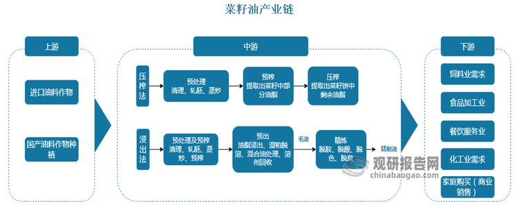 菜籽油產(chǎn)業(yè)鏈上游為油菜籽的種植，中游進行菜籽的收購加工，通過壓榨或浸出精煉成油，罐裝后進入終端銷售渠道流通，主要滿足餐飲食用需求、化工業(yè)需求及養(yǎng)殖需求。