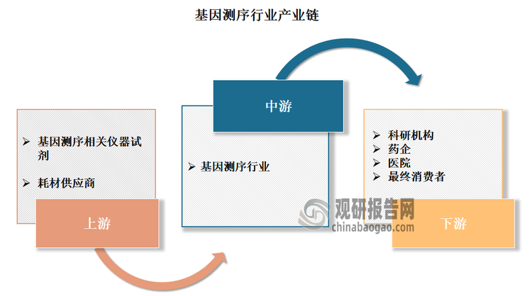 基因測(cè)序產(chǎn)業(yè)鏈上游為基因測(cè)序相關(guān)儀器、試劑及耗材供應(yīng)商，提供基因測(cè)序平臺(tái)和解決方案；下游為科研機(jī)構(gòu)、藥企、醫(yī)院及廣大人群為代表的測(cè)序相關(guān)應(yīng)用或服務(wù)的終端消費(fèi)者。