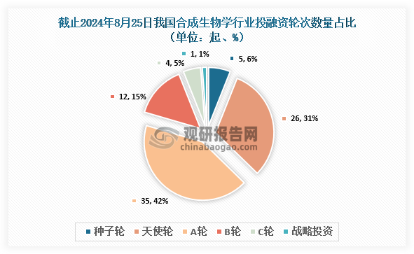 截止至2024年8月25日，我國合成生物學(xué)??行業(yè)共發(fā)生投融資事件83起，其中發(fā)生的A輪投資事件最多，達(dá)到35起，占比約為42%；其次為天使輪，達(dá)到26起，占比約為31%。