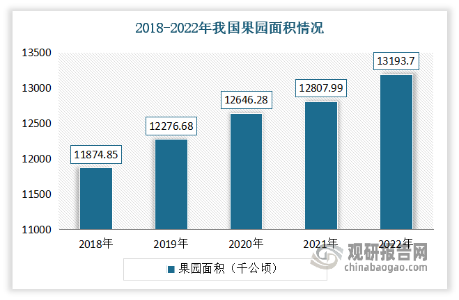 <strong>果蔬方面：</strong>我国是全球果品总面积和总产量稳居第一的国家。果品的质量和产业化水平也在不断提高。果品产业已经成为继粮食和蔬菜之后的第三大农业种植产业，在国内外市场具有广阔前景和较强的国际竞争力，也是地方经济发展和农民致富的支柱产业之一。根据数据显示，2022年我国果园面积为13193.7公顷。