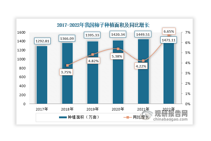 柿子是一種重要的經(jīng)濟(jì)作物，可以促進(jìn)農(nóng)業(yè)經(jīng)濟(jì)發(fā)展，增加農(nóng)民收入。近年來，農(nóng)戶柿樹種植積極性提高，帶動(dòng)柿子種植面積逐年增長，由2017年的1292.81萬畝上升至2022年的1471.11萬畝。同時(shí)，我國是全球最大的柿子種植國，種植面積常年位居全球首位，2022年占比達(dá)到93.42%，遙遙領(lǐng)先其他國家。