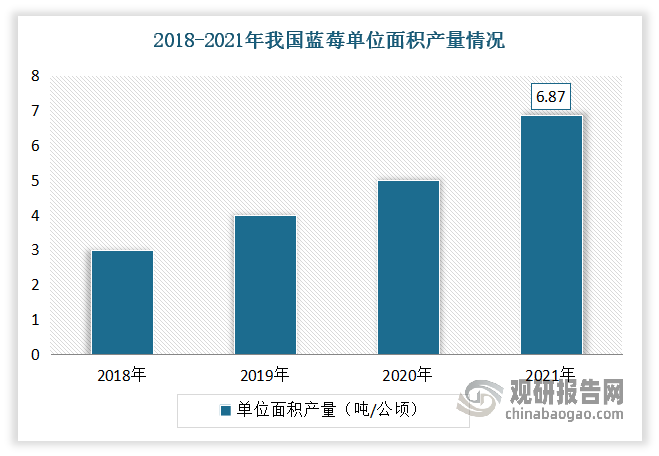 近年来随着产业快速发展，相关品种持续培育发展，我国蓝莓单位面积产量持续增长。数据显示，2018-2021年我国蓝莓单位面积产量从3.01吨/公顷从增长至6.87吨/公顷，增长超一倍。