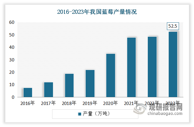 得益于栽培面積的快速增長以及單產(chǎn)水平的快速提升，近年來我國藍(lán)莓產(chǎn)量高速增長。數(shù)據(jù)顯示，2023年我國藍(lán)莓產(chǎn)量達(dá)52.5萬噸。