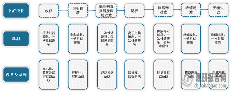 <strong>生物药分离纯化流程示意图</strong>