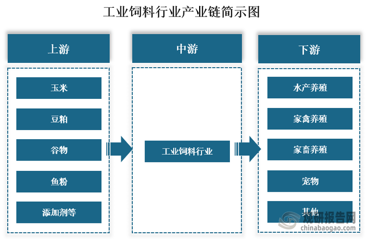 從產業(yè)鏈來看，工業(yè)飼料上游為玉米、豆粕、谷物、魚粉和添加劑等原材料；中游為工業(yè)飼料生產；下游為水產養(yǎng)殖、家禽養(yǎng)殖、家畜養(yǎng)殖和寵物等應用領域。