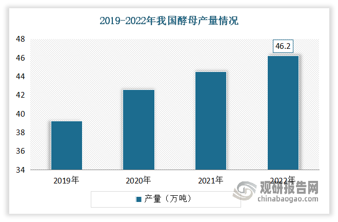 我國(guó)酵母工業(yè)化生產(chǎn)起步于20世紀(jì)80年代左右，雖然起步時(shí)間相比美國(guó)等國(guó)家要晚，但是發(fā)展迅速，已成為全球主要的酵母生產(chǎn)國(guó)之一。近年來(lái)，我國(guó)酵母行業(yè)發(fā)展穩(wěn)定，產(chǎn)量呈現(xiàn)穩(wěn)步上升態(tài)勢(shì)。數(shù)據(jù)顯示，2022年我國(guó)產(chǎn)量為46.2萬(wàn)噸。其中活性酵母產(chǎn)量達(dá)到66.67%；酵母提取物占比超過(guò)20%。