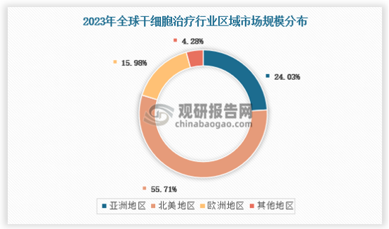 目前，歐美日韓等發(fā)達(dá)國(guó)家高度重視干細(xì)胞產(chǎn)業(yè)的發(fā)展，并認(rèn)為干細(xì)胞產(chǎn)業(yè)將是本國(guó)繼續(xù)引領(lǐng)未來(lái)生物科技領(lǐng)域的重要支撐，都出臺(tái)了比較完整的干細(xì)胞產(chǎn)業(yè)政策體系。其中美國(guó)干細(xì)胞臨床研究在全球遙遙領(lǐng)先，相關(guān)數(shù)據(jù)顯示，截止2021年3月31號(hào)，美國(guó)有1480家企業(yè)經(jīng)營(yíng)的2754家診所在出售直接面向消費(fèi)者的干細(xì)胞治療產(chǎn)品，同時(shí)美國(guó)出臺(tái)干細(xì)胞治療行業(yè)的相關(guān)政策較早，有良好的市場(chǎng)發(fā)展空間。2023年北美地區(qū)市場(chǎng)規(guī)模占比為55.71%，歐洲地區(qū)占比15.98%，亞洲地區(qū)占比為24.03%。