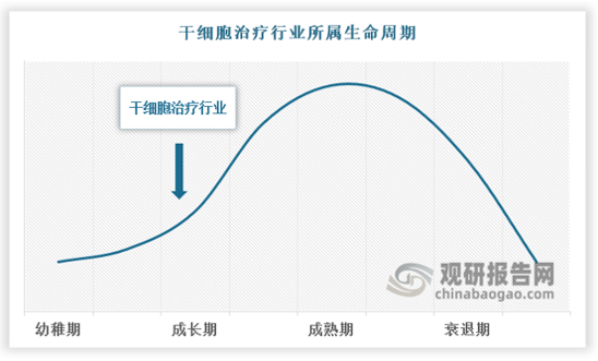 综合干细胞治疗市场规模、竞争程度以及干细胞治疗行业下游需求等因素来看，观研天下判断干细胞治疗行业目前处于生命周期中的成长期。