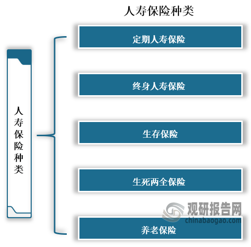 人壽保險可分為定期人壽保險、終身人壽保險、生存保險、生死兩全保險、養(yǎng)老保險五種，其中生存保險是指被保險人必須生存到保單規(guī)定的保險期滿時才能夠領(lǐng)取保險金。