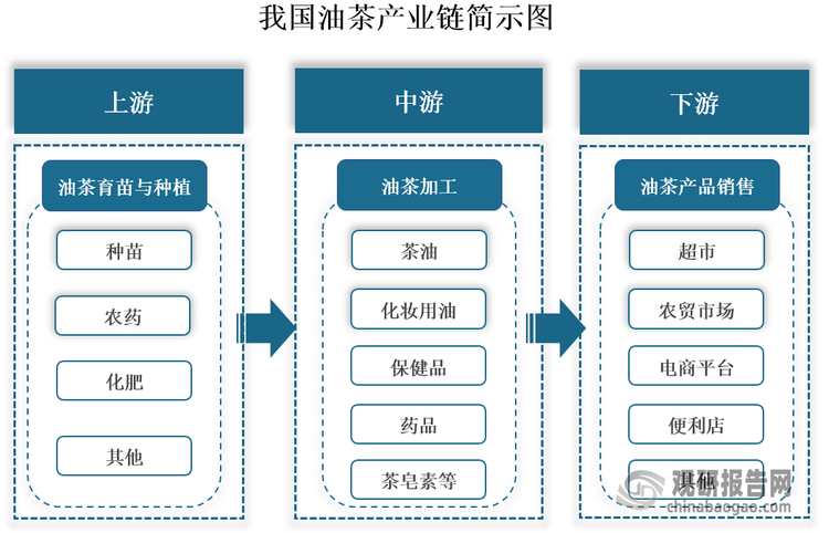 油茶属于山茶科植物，别名茶子树、茶油树、白花茶，与油橄榄、油棕、椰子一起并称为是世界四大油料树种。油茶也是我国特有的优质木本油料作物，已有2000多年的栽培历史，到目前我国已形成了从育苗、种植、加工到销售的油茶全产业链。具体来看，我国油茶产业链上游包括育苗和种植，涵盖种苗、农药和化肥等关键生产资料；中游为油茶加工，其加工产品涵盖茶油、化妆用油、保健品、药品、茶皂素等；下游为销售渠道，包括超市、农贸市场和电商平台等线下和线上渠道。