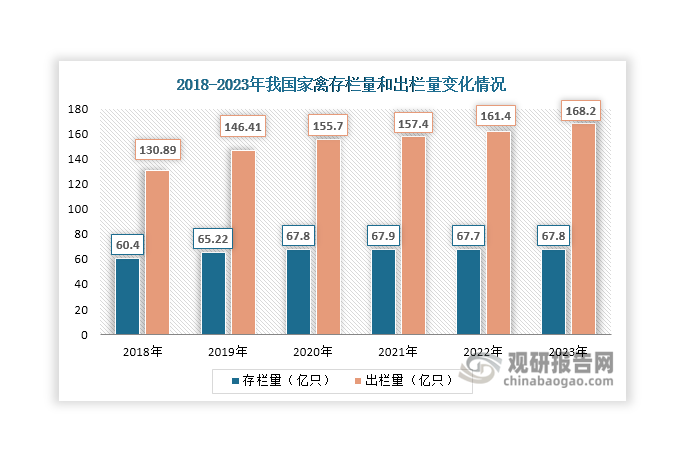 家禽養(yǎng)殖業(yè)是我國(guó)畜牧業(yè)的基礎(chǔ)性產(chǎn)業(yè)，也是我國(guó)農(nóng)村經(jīng)濟(jì)主要支柱產(chǎn)業(yè)。其發(fā)展對(duì)于加快建設(shè)現(xiàn)代畜牧業(yè)，推進(jìn)農(nóng)業(yè)結(jié)構(gòu)戰(zhàn)略性調(diào)整，以及增加農(nóng)民收入都具有十分重要的意義。近年來(lái)隨著我國(guó)經(jīng)濟(jì)的不斷發(fā)展，居民生活水平的提升，以及國(guó)家相關(guān)政策持續(xù)推動(dòng)，我國(guó)家禽養(yǎng)殖規(guī)模整體得到擴(kuò)大，為禽飼料行業(yè)發(fā)展提供了重要保障。數(shù)據(jù)顯示，2023年我國(guó)家禽存欄67.8億只，比上年末增長(zhǎng)0.2%；家禽出欄168.2億只，比上年增長(zhǎng)4.2%；禽肉產(chǎn)量2563萬(wàn)噸，增長(zhǎng)4.9%；禽蛋產(chǎn)量3563萬(wàn)噸，增長(zhǎng)3.1%。