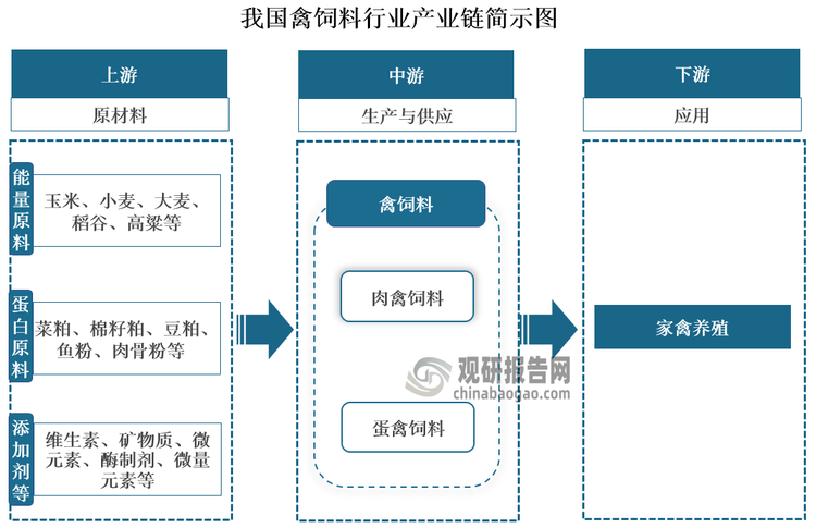 從我國(guó)禽飼料產(chǎn)業(yè)鏈來(lái)看，其上游主要是禽飼料的原材料，包括能量原料（玉米、小麥、大麥、稻谷、高粱等）、蛋白原料（菜粕、棉籽粕、豆粕、魚粉、肉骨粉等等）以及添加劑等（維生素、礦物質(zhì)、微元素、酶制劑、微量元素等）；中游為禽飼料生產(chǎn)與供應(yīng)，根據(jù)所喂養(yǎng)禽類的用途，其可以分為肉禽飼料和蛋禽飼料；下游則是為以雞、鴨、鵝等為主的家禽養(yǎng)殖業(yè)。